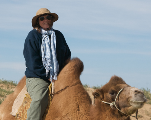 Camel ride at Arburd Sands