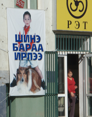 Pet shop banner, Ulaanbaatar