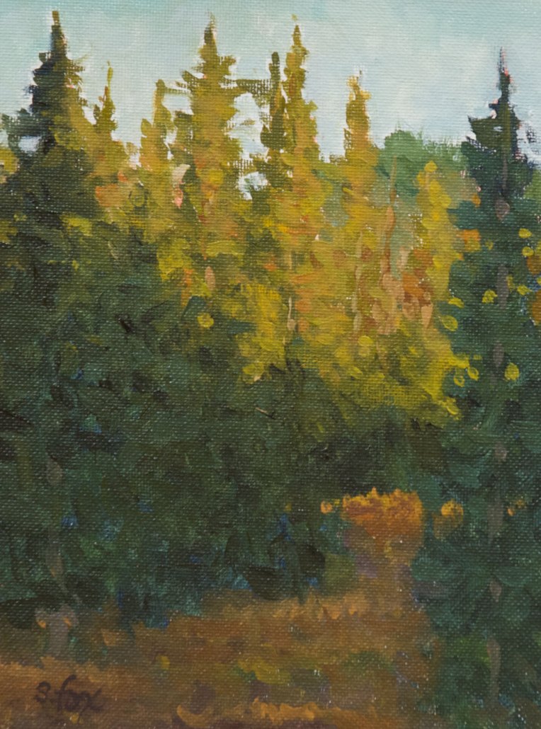 Morning Light, Dunraven Pass