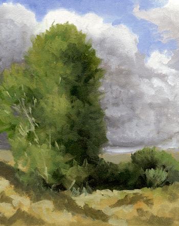 Along Goodall's Cutoff, Idaho