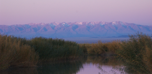 Jargalant at sunrise, Khar Us Nur National Park 2006