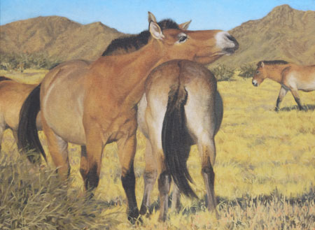 That's the Spot!  oil  16"x 20"