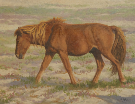 Chestnut Stallion, Arburd Sands   oil  11" x14"