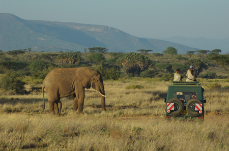 Samburu encounter