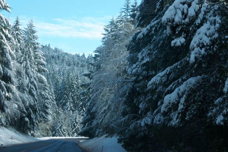 Snowy morning on Hwy. 299 at Lord Ellis summit