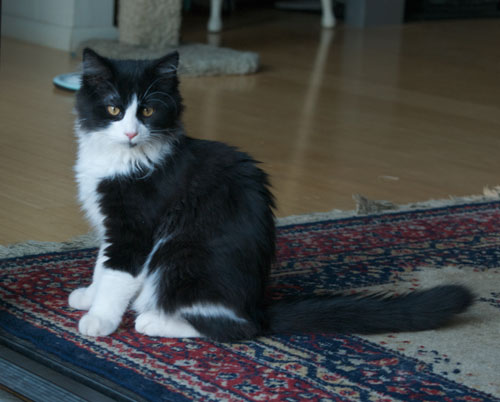 Alexander, first day outside