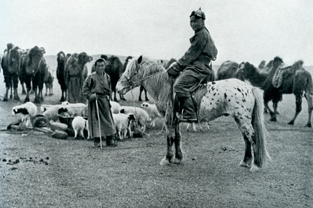Mongolian herder, late 1920's