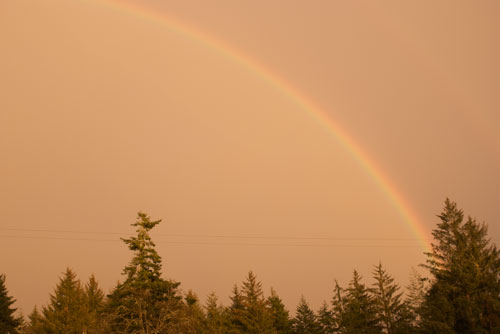 rainbow Rainbow from last week's storm