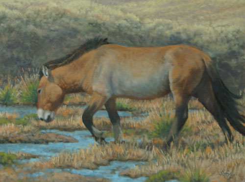 Morning Drink oil  12"x16"