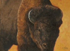 American Bison  oil on canvasboard 6x8