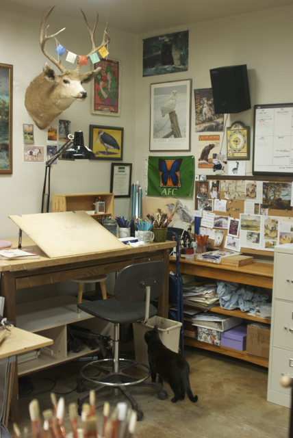 Eowyn inspecting the new set-up