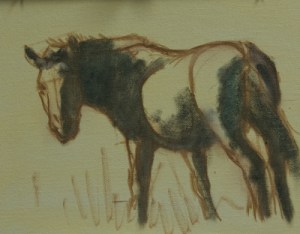 Initial drawing and shadow shapes