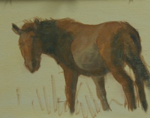 Adding the medium tones and basic hues