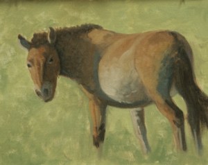 Modeling the form and refining the drawing