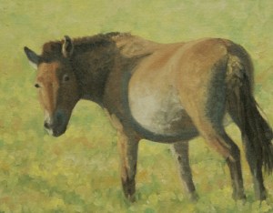 Correcting the shapes and working on the background