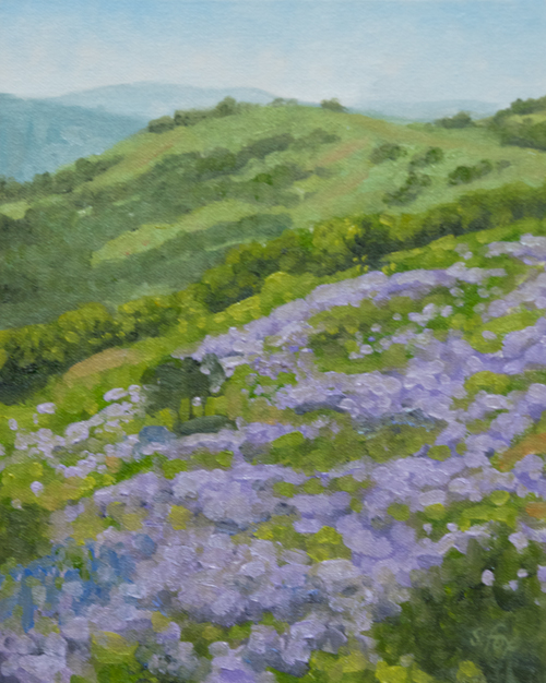 Bald Hills Lupine 10x8" oil on canvasboard