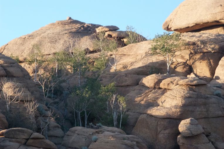 Right side of canyon entrance