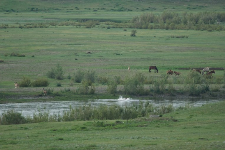 And made quite a splash