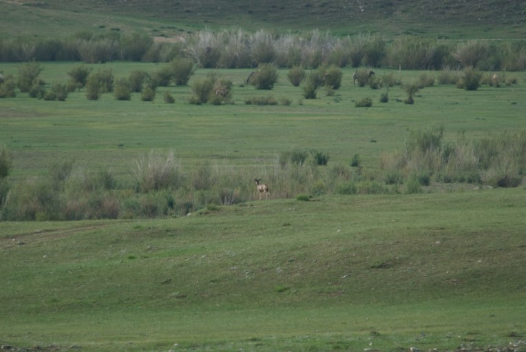 Where's everyone else?