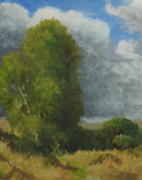 Idaho Cottonwoods   10x8"   oil on canvasboard