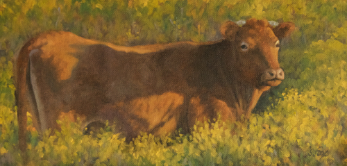 How Now Red Cow  6x12" oil on canvasboard