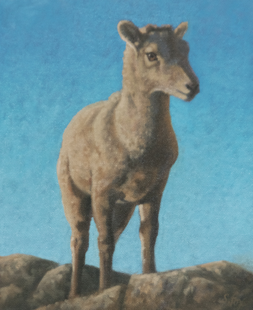 Top O' The Morning 10x8" oil on canvasboard (price on request)