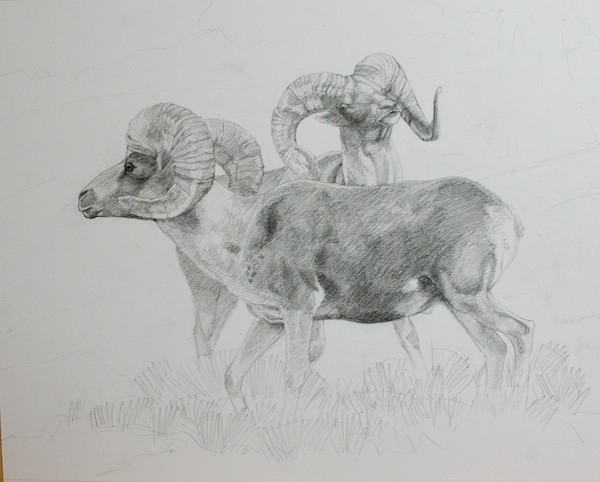 Finished drawing; graphite on vellum bristol