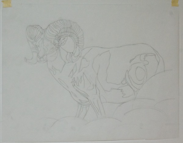 Outline on tracing paper