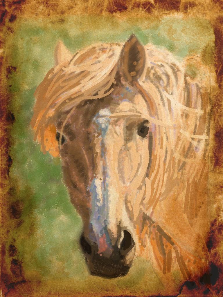 Mongol Horse- iPad drawing processed with Camera Awesome using a filter and frame