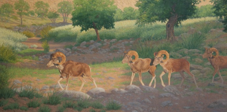 This year's cover image "Then They Walked Out Into The Morning Light", Mongolian argali from an original 24x48" oil painting