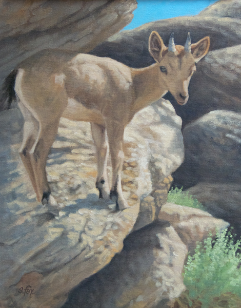 Rocky Perch (Siberian Ibex Kid)  12x9"  oil