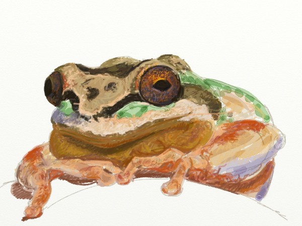 And just continue adding layers until I get what I want