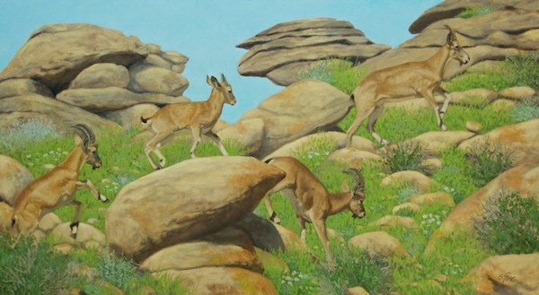 Rock Hoppin'  20x36"  oil