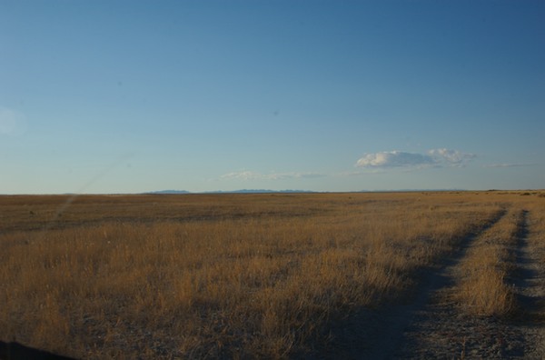 The steppe