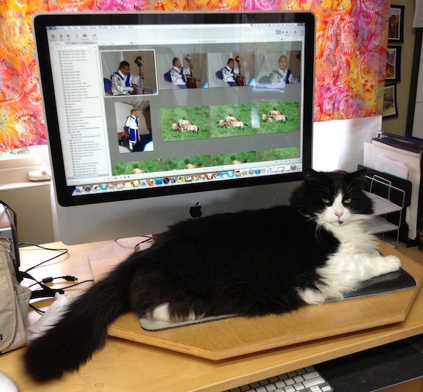 Alexander is a regular "helper" in my studio