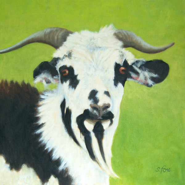 "Mongol Goat"  12x12"  oil