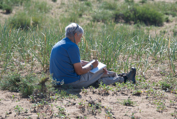 Sharon Schafer worked on recording the various plants in her sketchbook