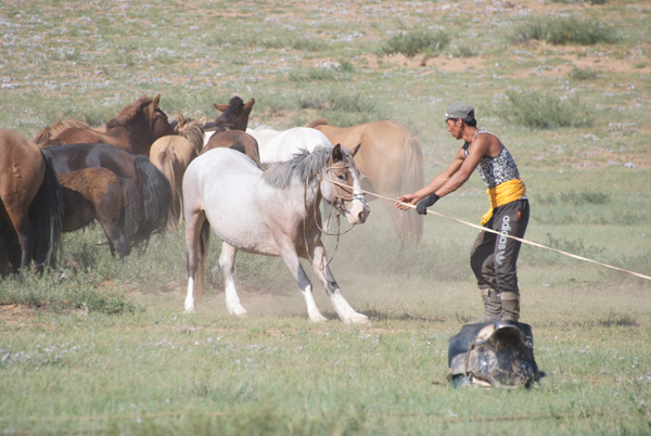 He really would rather not