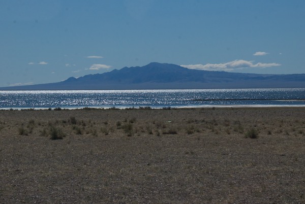 We drove along the north side of the lake back to the east end, where the birds would be.