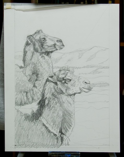 The drawing and value study