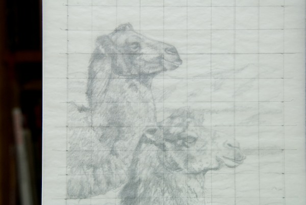 I drew a grid on a piece of tracing paper to do a traditional graphite transfer to the canvas panel