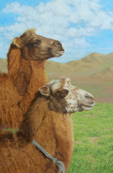 Bactrian Camels, Bayan-Onjuul Soum, Mongolia oil  30x20"
