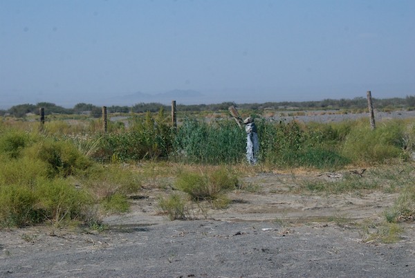 Then we saw this odd thing