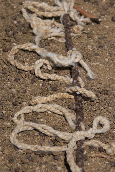 Outside I found these lovely bits of rope tied to a picket line.