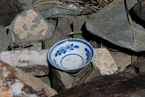 I was struck by the presence of this delicate cup among the rough rocks out in the middle of the desert.