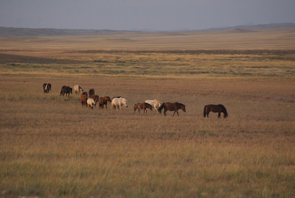 What could have been more perfect?