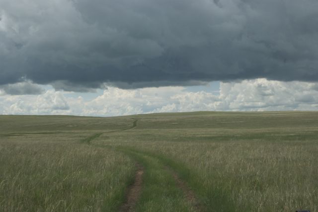 steppe