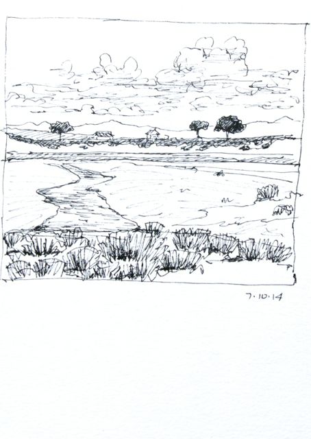 Quick sketch of wetland area (the driver was coming any minute to pick me up)