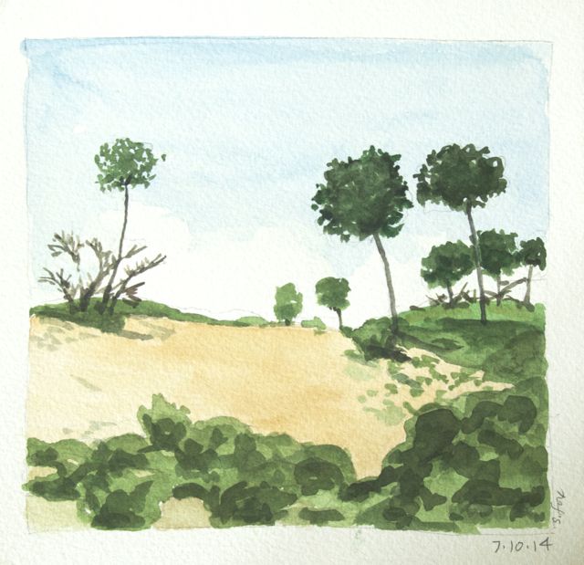 Dunes and trees