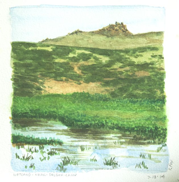 Variety of vegetation